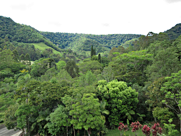 25 Jahre Bio Goldankauf